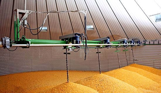 L'intérieur d'un silo à grain avec sa vis de brassage